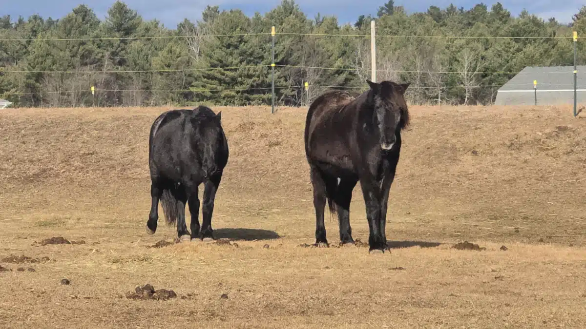 Carl E Dahl House at Evergreen Grove